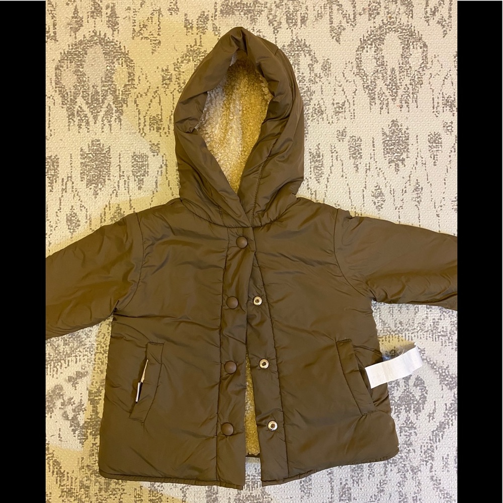Olive Colored Coat Zara Baby 9-12 Months